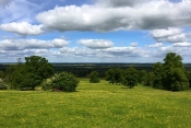radway_picnic_nick_08