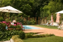 The garden and pool