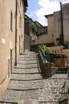 Barga
