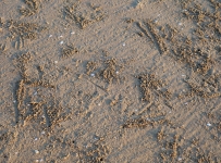 Resized_Img_0406