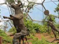 eden_04
