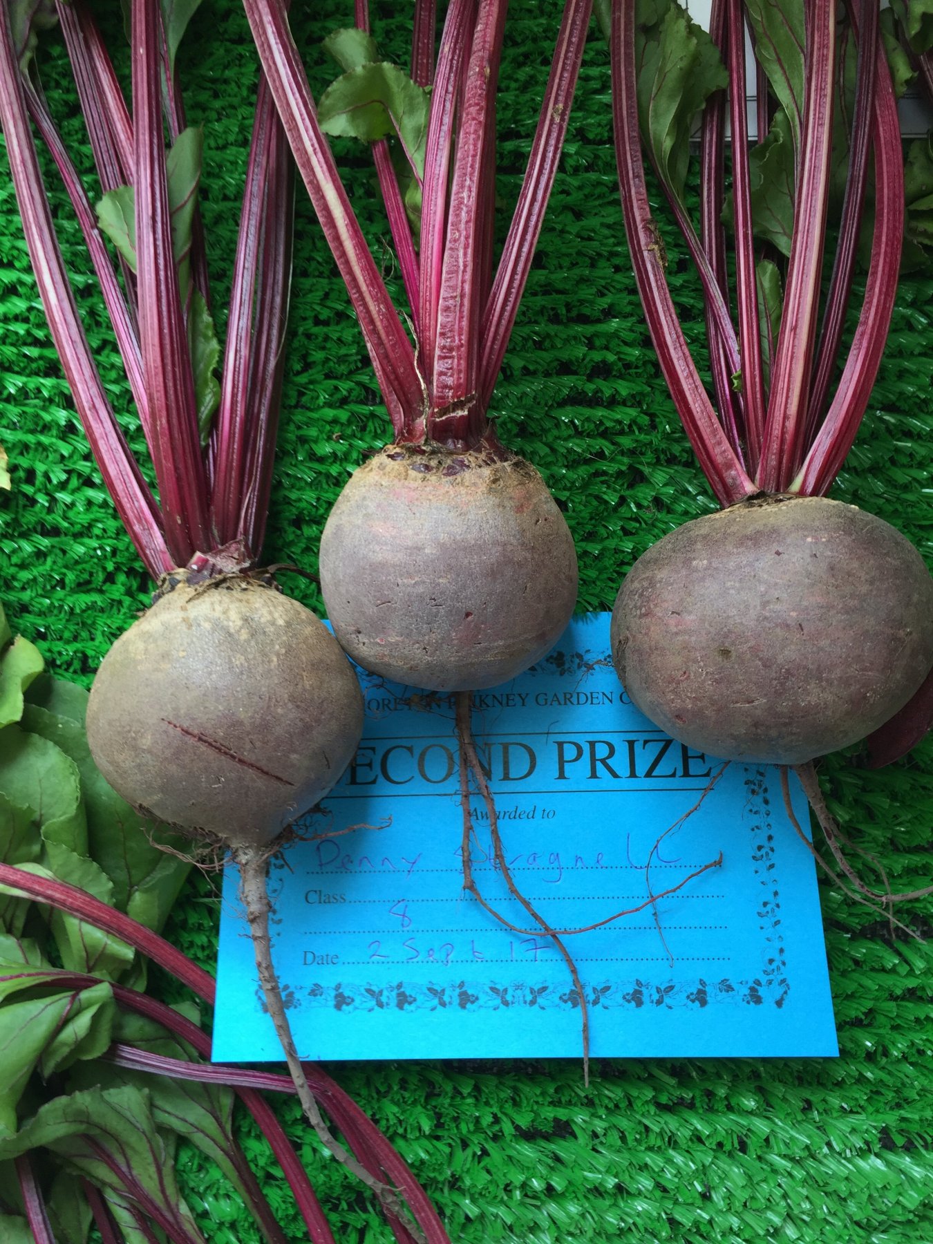 beetroot
