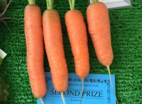 carrots