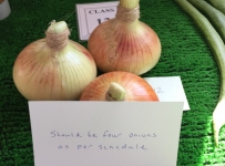 onions
