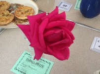 rose