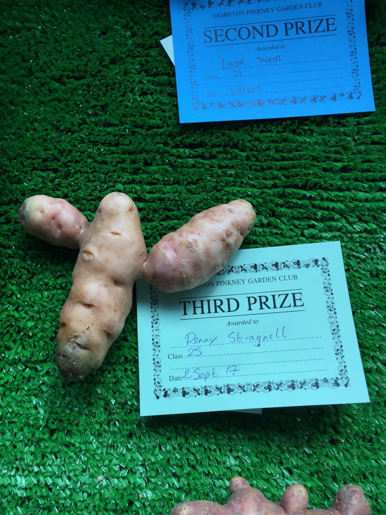 ugliest_vegetable