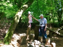 heligan_02