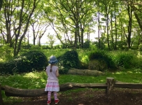 heligan_03