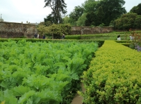 heligan_07