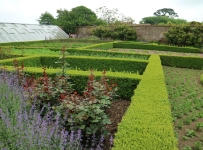heligan_08