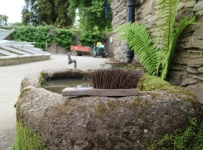 heligan_11