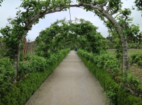 heligan_12