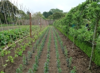 heligan_14