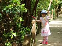 heligan_19