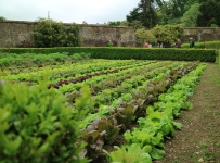 heligan_34