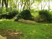 heligan_36