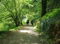 heligan_37