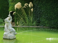 hidcote_10