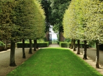 hidcote_19