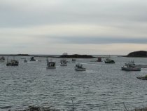 porpoise_cove_02